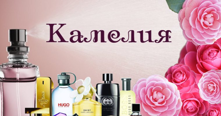 Логотип Kamely-parfume; KamEly Parfum